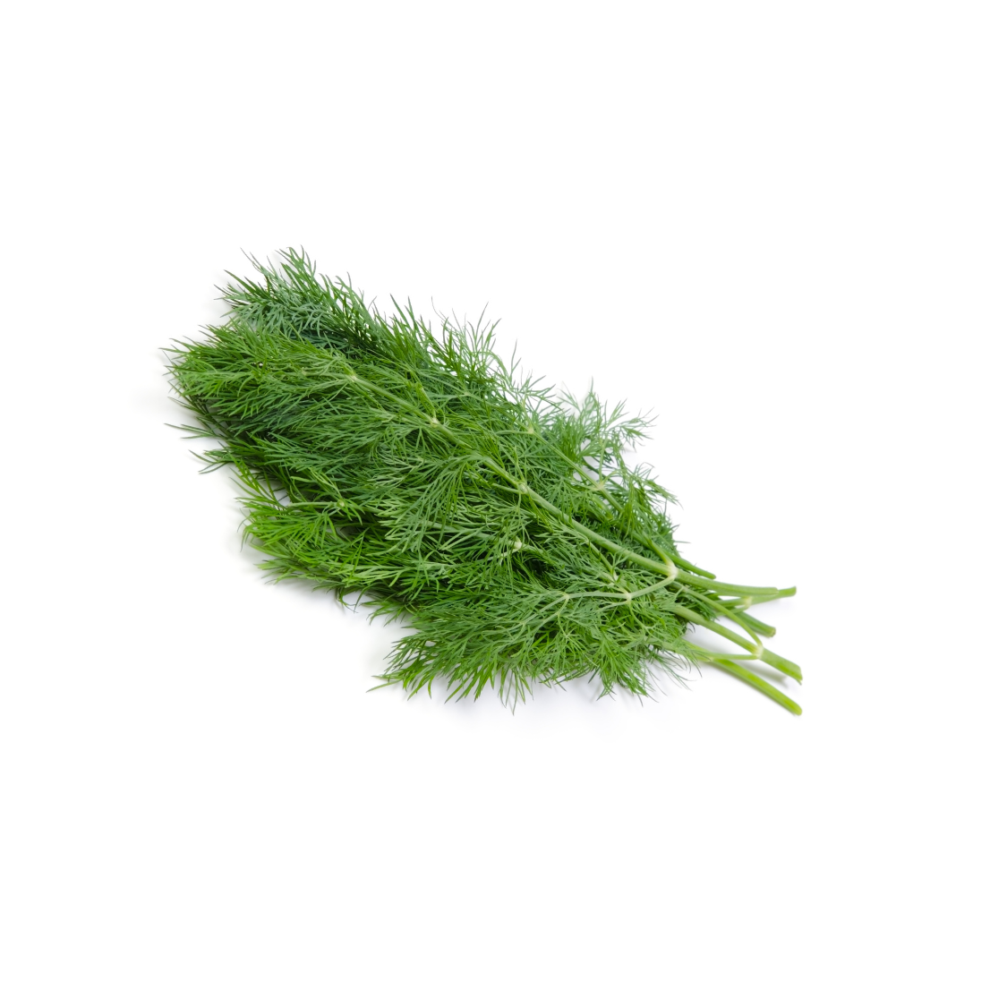 koperek.png